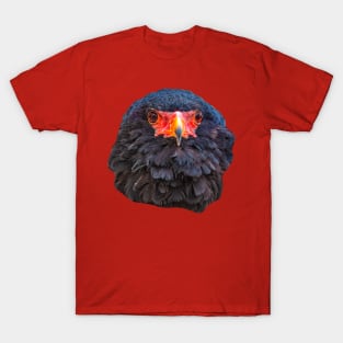 Bateleur eagle T-Shirt